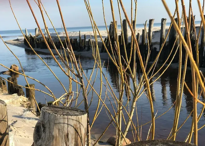 Julia 公寓 卡尔维亚